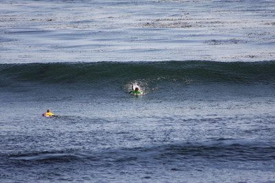 The surfer begins to kick his legs and to straighten out his direction of choice.