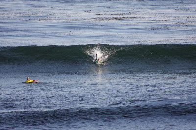  The surfer begins to paddle in the surf in a windmill like manner.
