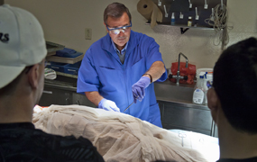 Introduction to the cadaver lab