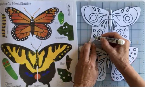 SJCC art instructor Ingrid Brook-Kothlow demonstrates how to make butterfly kits on her YouTube channel on May 22.