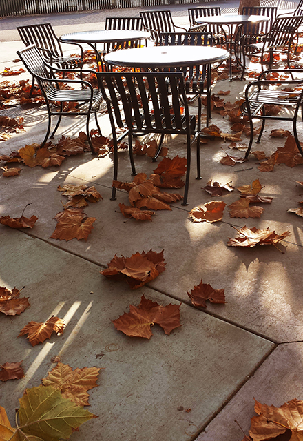 The Campus canteen was quiet without students. 

One week after the campus was closed due to the pandemic, out side of the canteen, there are only empty tables with some brown leaves, which remained from the winter. Monday, Mar 16, 2020.
