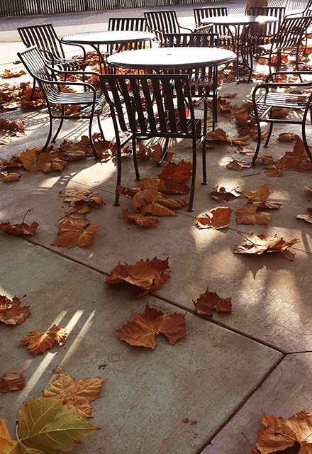 The Campus' canteen was quiet without students. One week after the campus was closed due to the pandemic, out side of the canteen, there are only empty tables with some brown leaves, which remained from the winter. Monday, Mar 16, 2020.