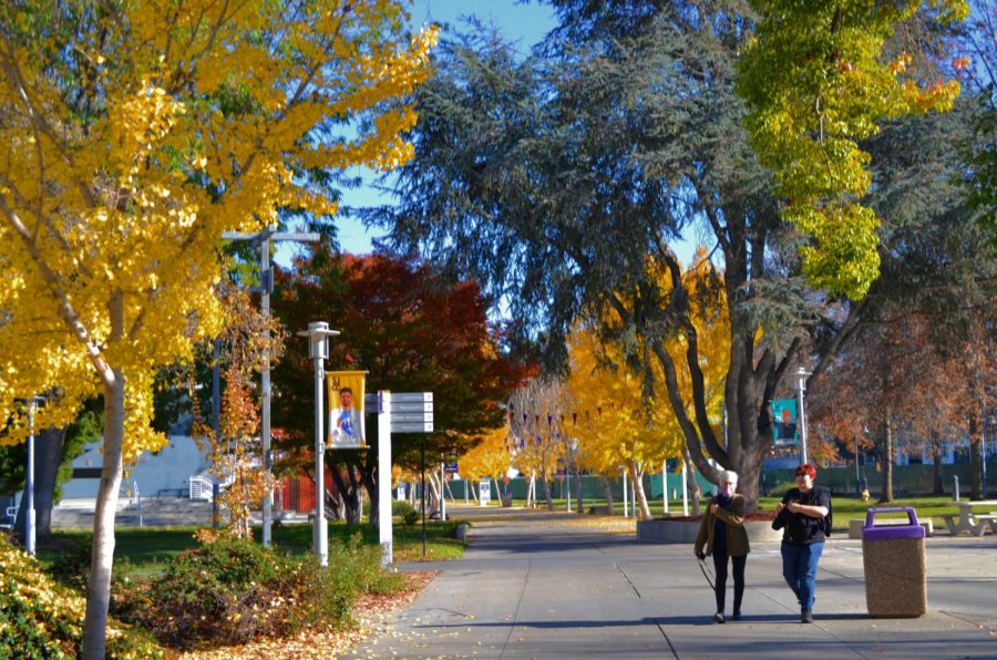 As the leaves start changing, and the semester comes to an end, the San Jose City College campus is full of color. Students and faculty can be seen walking the campus paths, including these members who were walking beside the Cosmetology Building on Nov. 30.