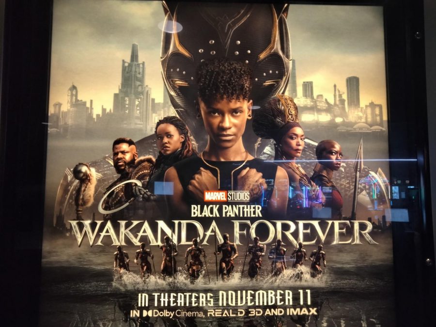 Black Panther: Wakanda Forever, a review.