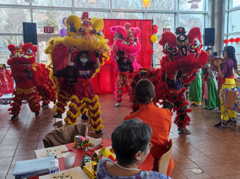 Dancers from VoVinam, a local martial arts group, perform a traditional Vietnamese Lion Dance.