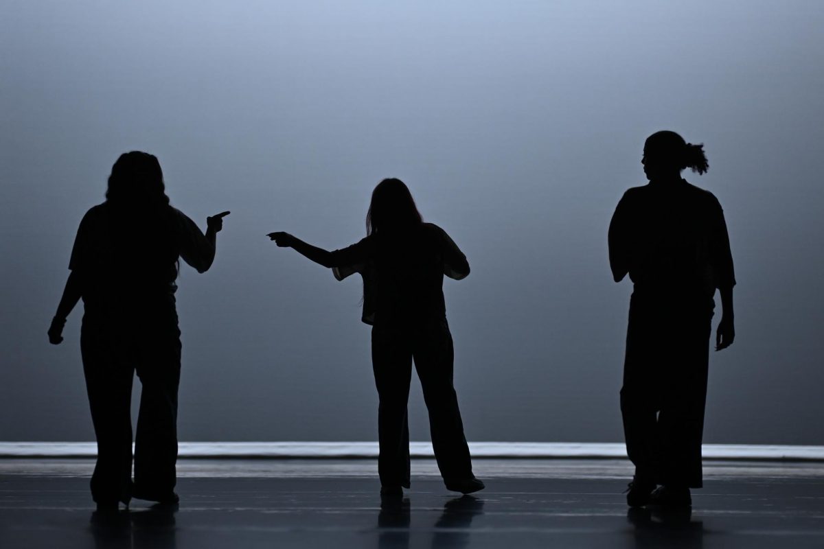 Dancer silhouettes against the theater backdrop. Photo by Trinity Machan.
